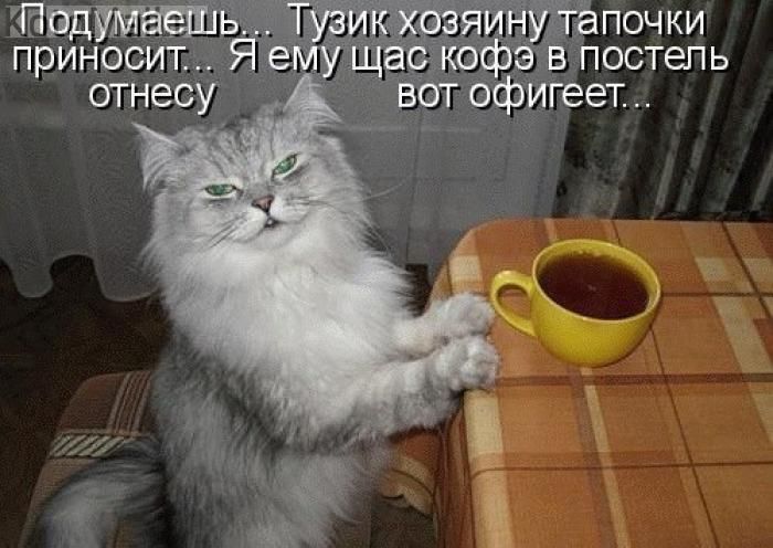 Подумашь... Тузик хозяину тапочки приносит... Я ему щас кофе в постель отнесу вот офигеет...