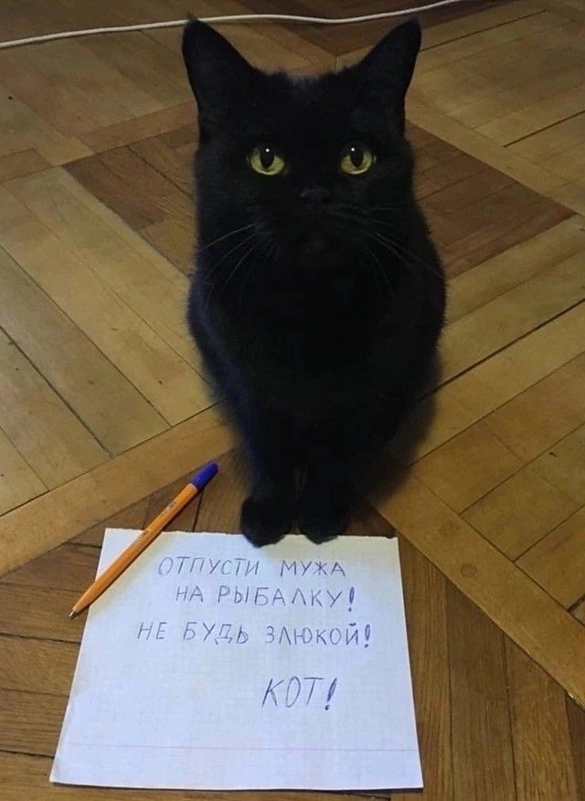 ОТПУСТИ МУЖА НА РЫБАЛКУ! НЕ БУДЬ ЗЛЮКОЙ! КОТ!