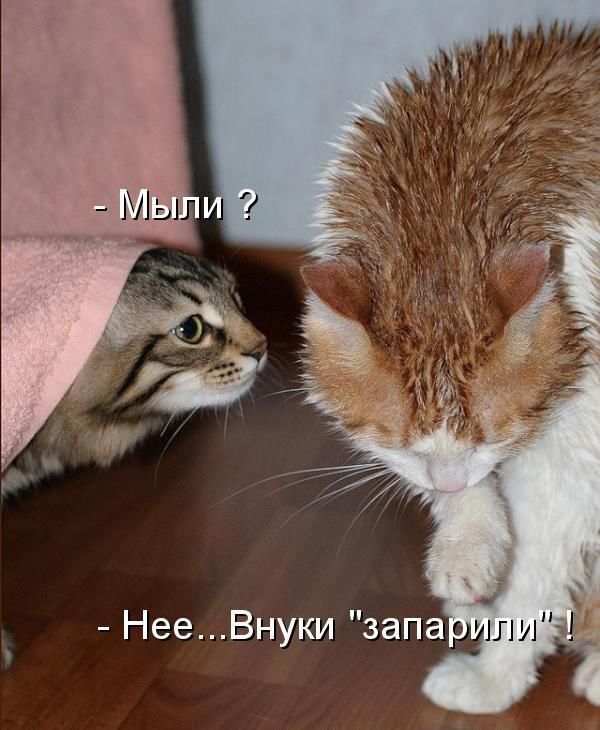 - Мыли ?
- Нее...Внуки 
