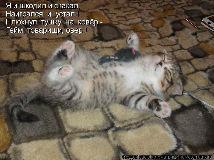 Я и шкодил и скакал, Наигрался и устал! Плюхнул тушку на ковёр - Гейм, товарищи, овёр!