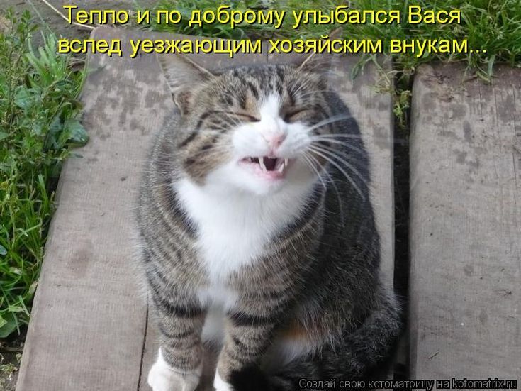 Тепло и по доброму улыбался Вася вслед уезжающим хозяйским внукам.