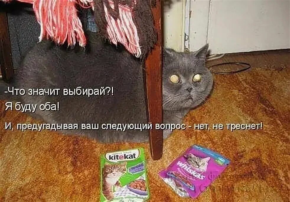 -Что значит выбирай?! Я буду оба! И, предугадывая ваш следующий вопрос - нет, не треснет!
