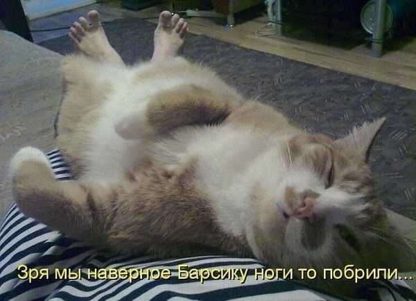 Зря мы наверное БарсЖику ноги то побрили....