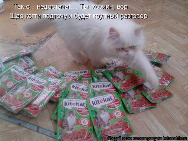 Так-с... недостаточно!... Ты, хозяин, вор
Щас коти подточун и будет крупный разговор