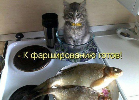 К фаршированию готов!