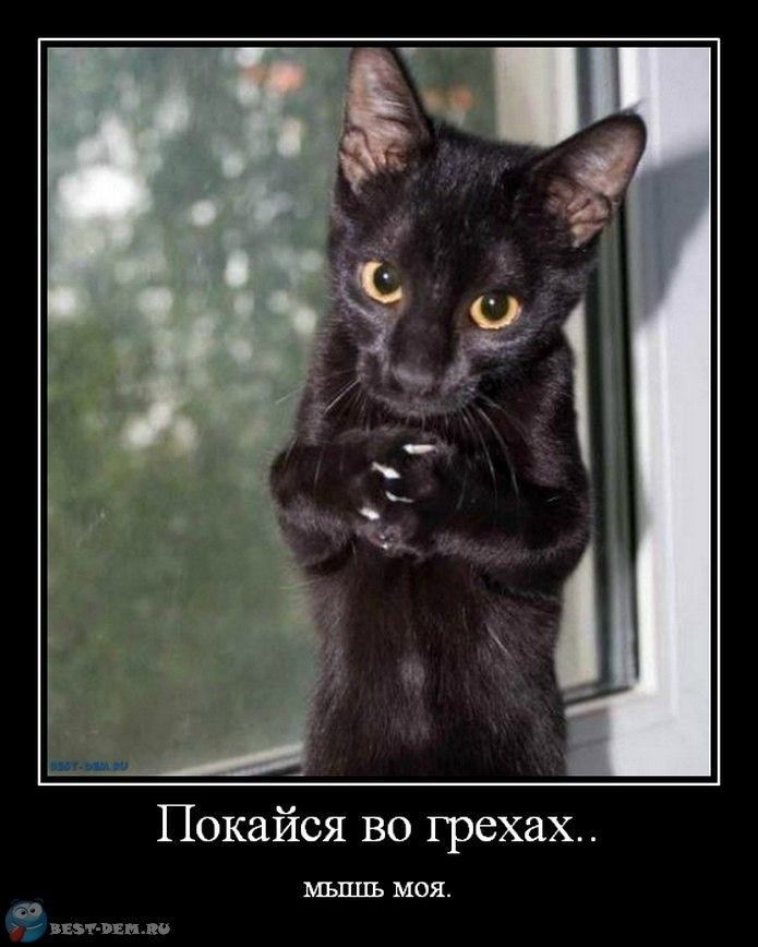 Покайся во грехах.. Мышь моя.