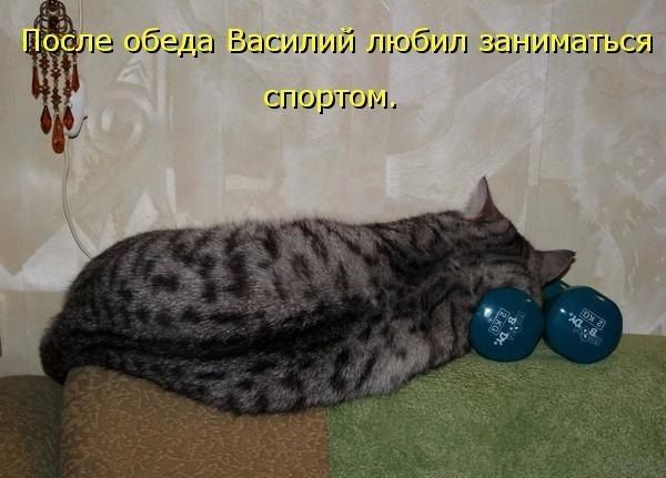 После обеда Василий любил заниматься спортом.