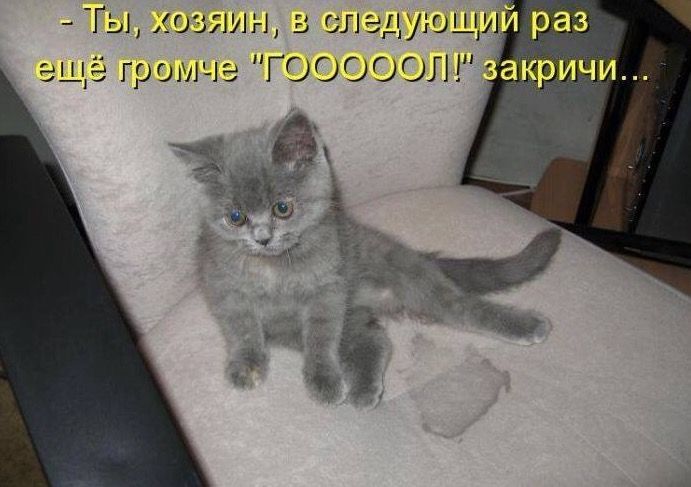 - Ты, хозяин, в следующий раз ещё громче 