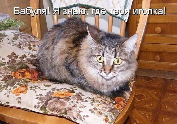 Бабушка! Я знаю, где твоя иголка!