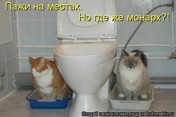 Пажи на местах. Но где же монарх?!