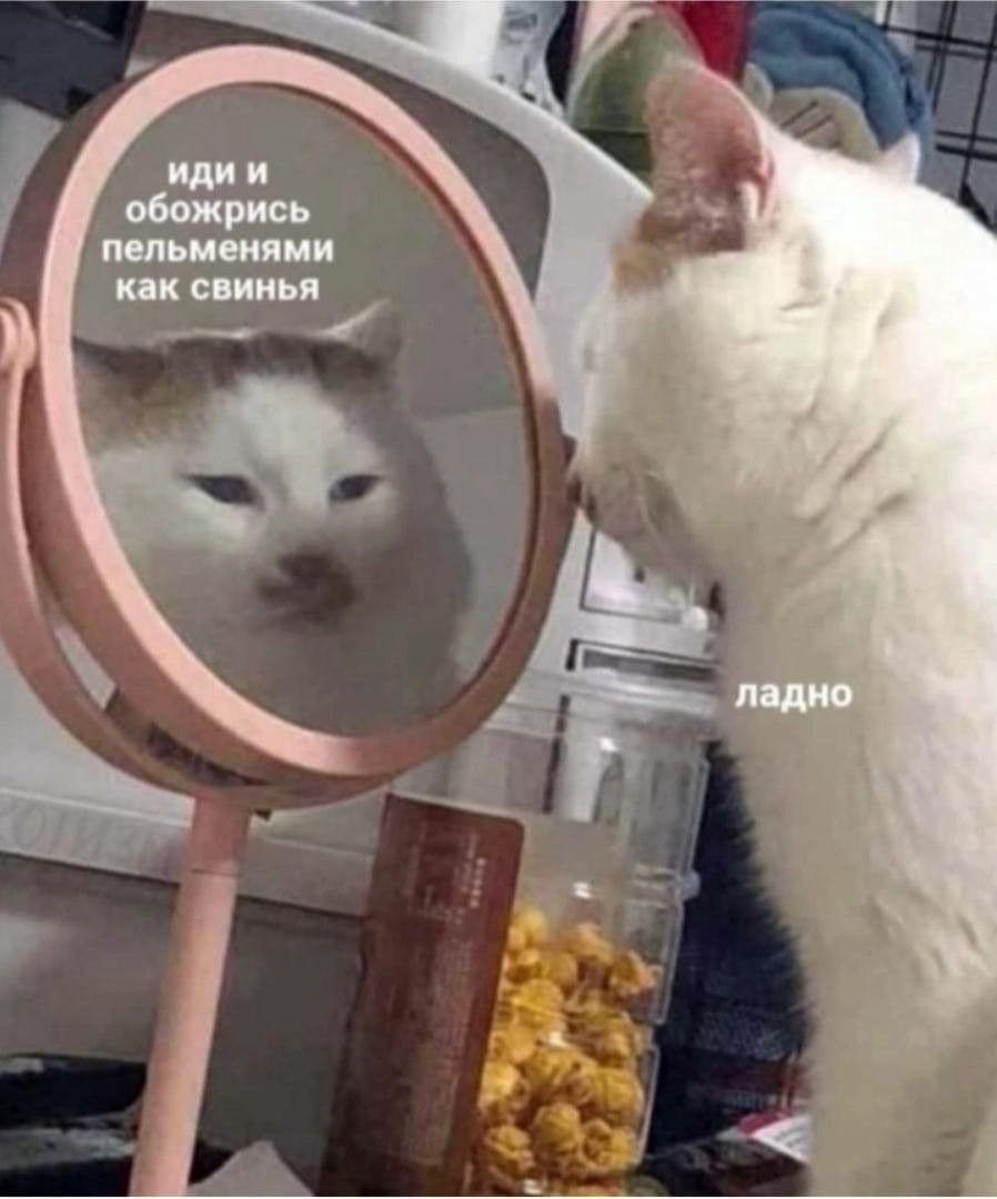 иди и обожрись пельменями как свинья ладно