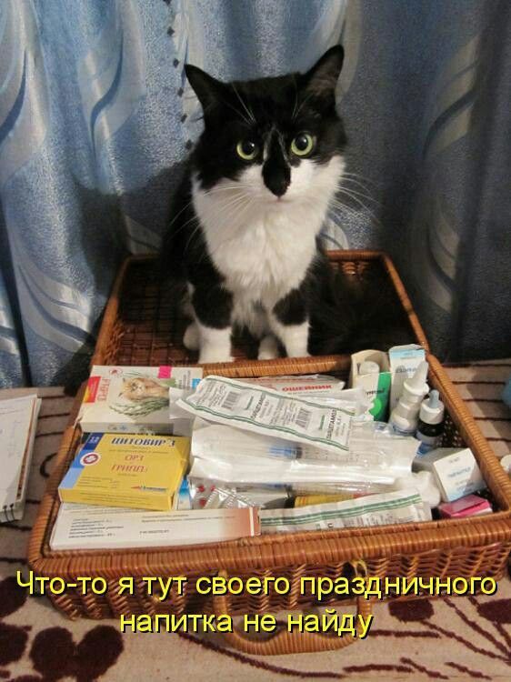 Что-то я тут своего праздничного напитка не найду