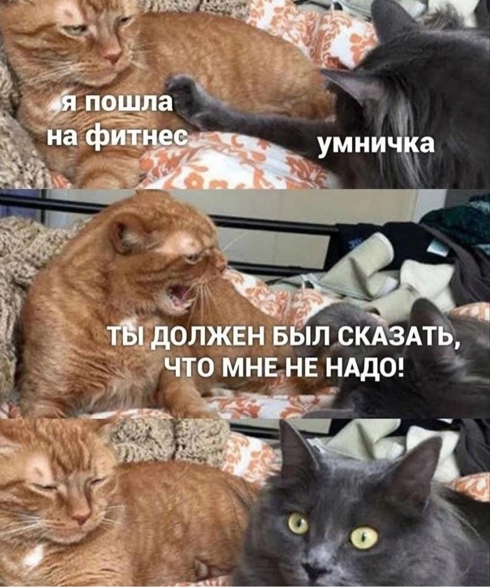я пошла на фитнес
умничка
ТЫ ДОЛЖЕН БЫЛ СКАЗАТЬ, ЧТО МНЕ НЕ НАДО!