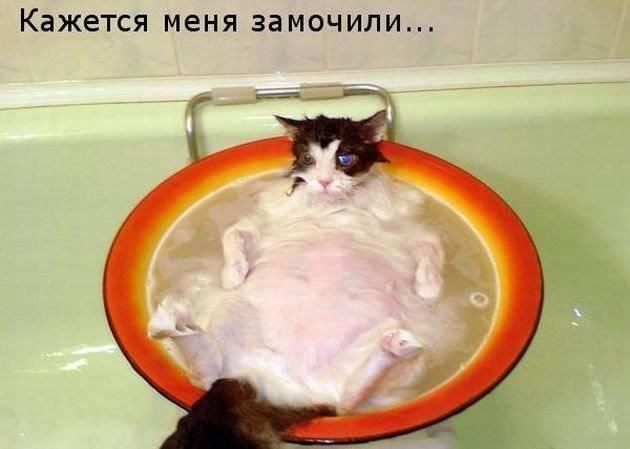 Кажется меня замочили...