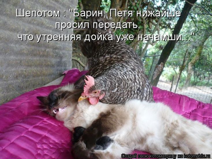 Шепотом: 