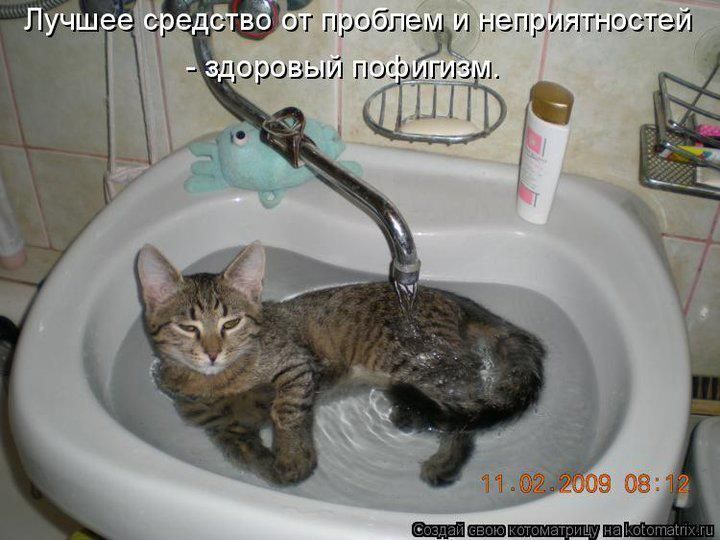 Лучшее средство от проблем и неприятностей - здоровый пофитивизм.