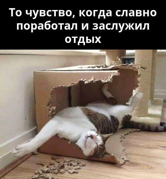 То чувство, когда славно поработал и заслужил отдых