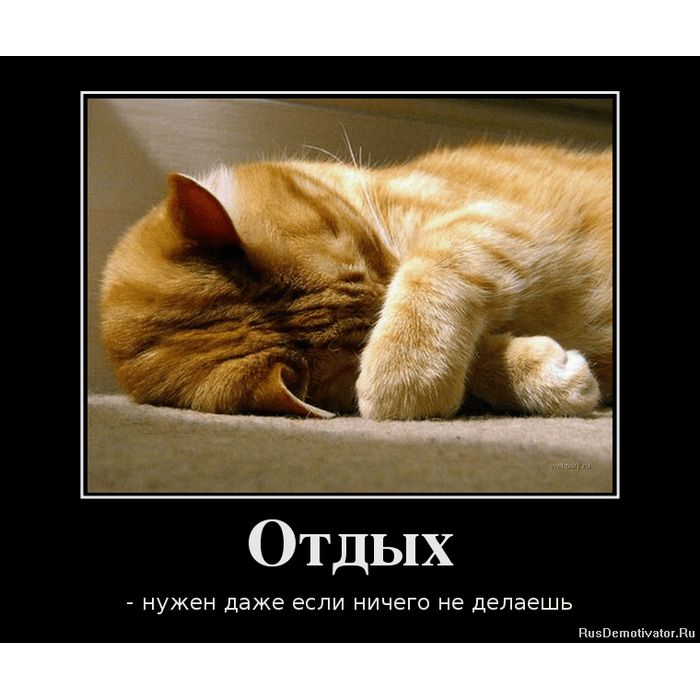 Отдых
- нужен даже если ничего не делаешь