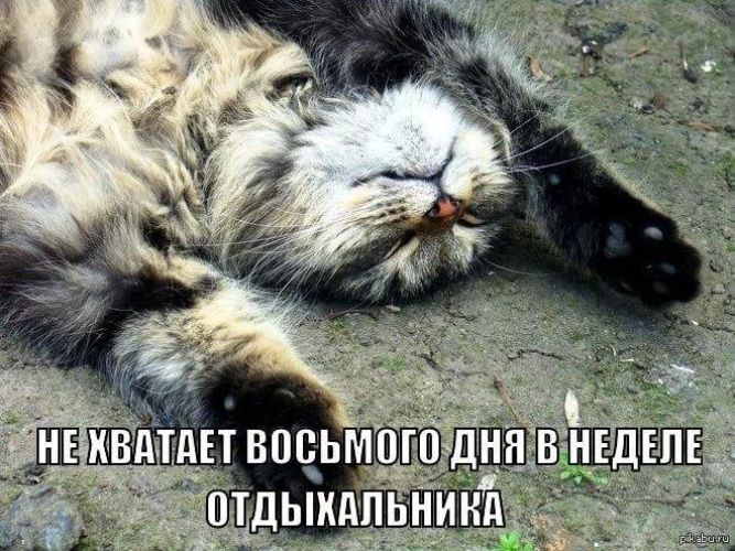 НЕ ХВАТАЕТ ВОСЬМОГО ДНЯ В НЕДЕЛЕ ОТДЫХАЛЬНИКА