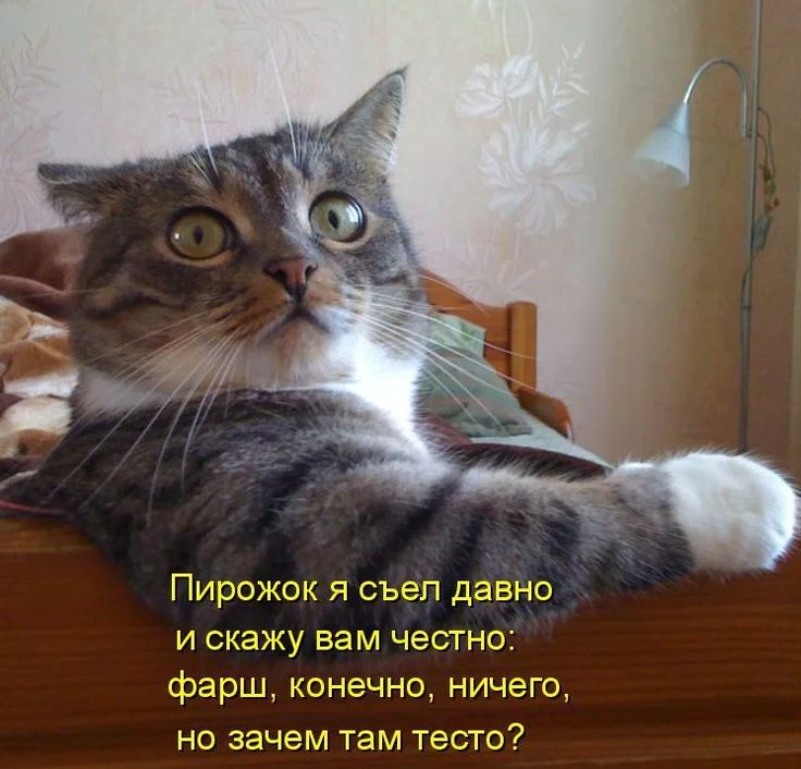 Пирожок я съел давно и скажу вам честно: фарш, конечно, ничего, но зачем там тесто?