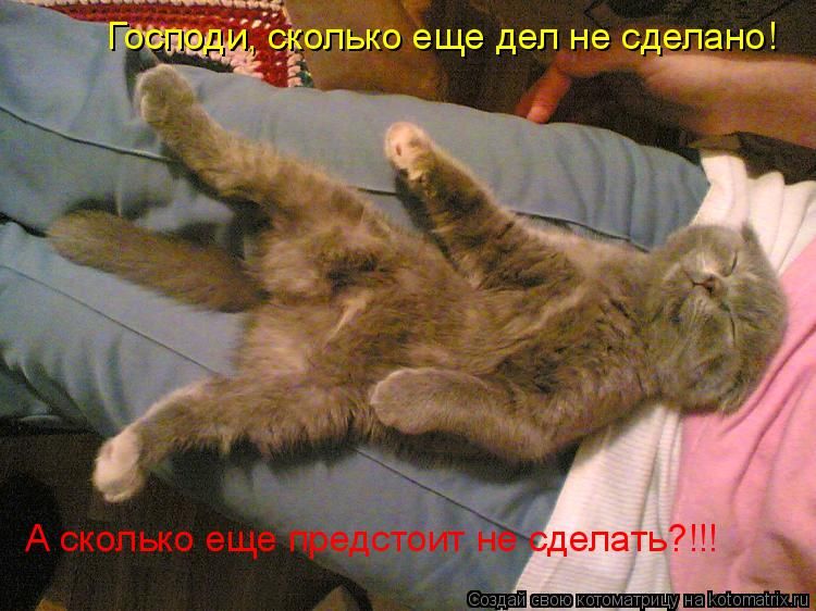 Господи, сколько еще дел не сделано! А сколько еще предстоит не сделать?!!!
