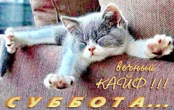 вечный КАЙФ !!! СУББОТА...