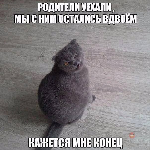 РОДИТЕЛИ УЕХАЛИ, МЫ С НИМ ОСТАЛИСЬ ВДВОЁМ
КАЗАЦЬСЯ МНЕ КОНЕЦ