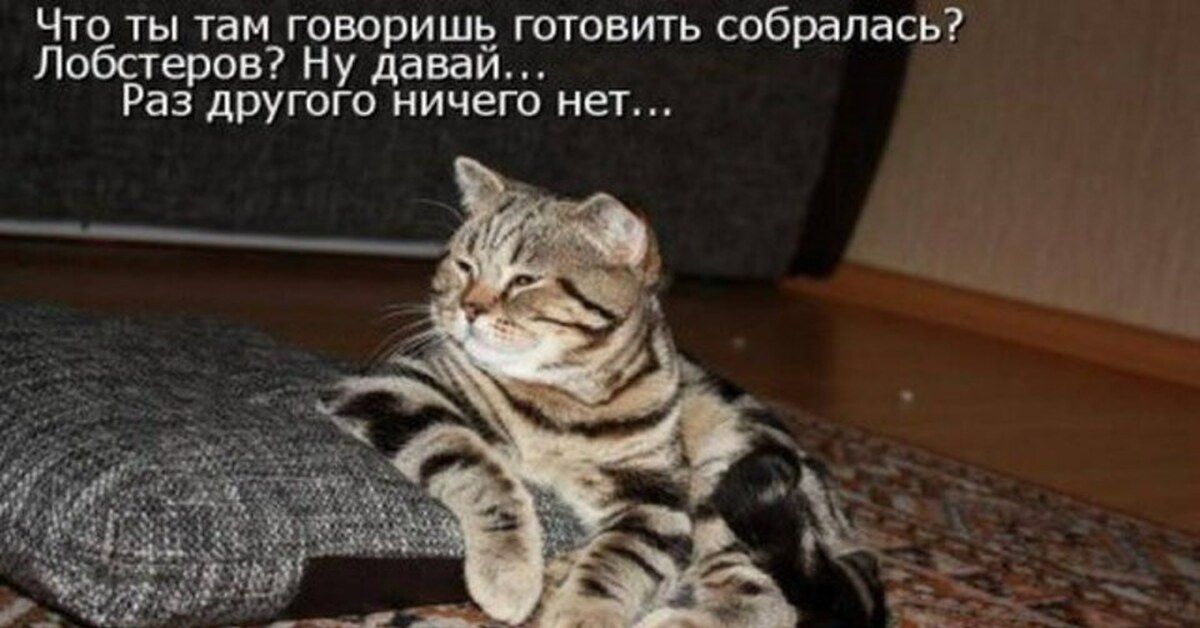 Что ты там говоришь готовить собралась? Лобстеров? Ну давай... Раз другого ничего нет...