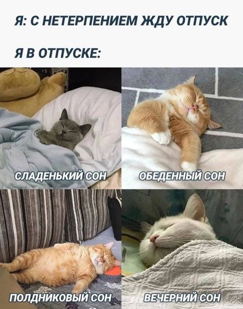 Я: С нетерпением жду отпуск
Я в отпуске:
Сладенький сон
Обеденный сон
Полдниковый сон
Вечерний сон