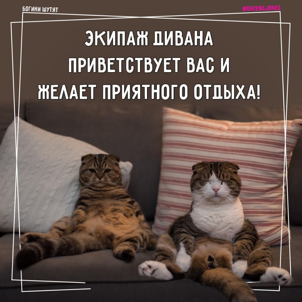 Экипаж дивана приветствует Вас и желает приятного отдыха!