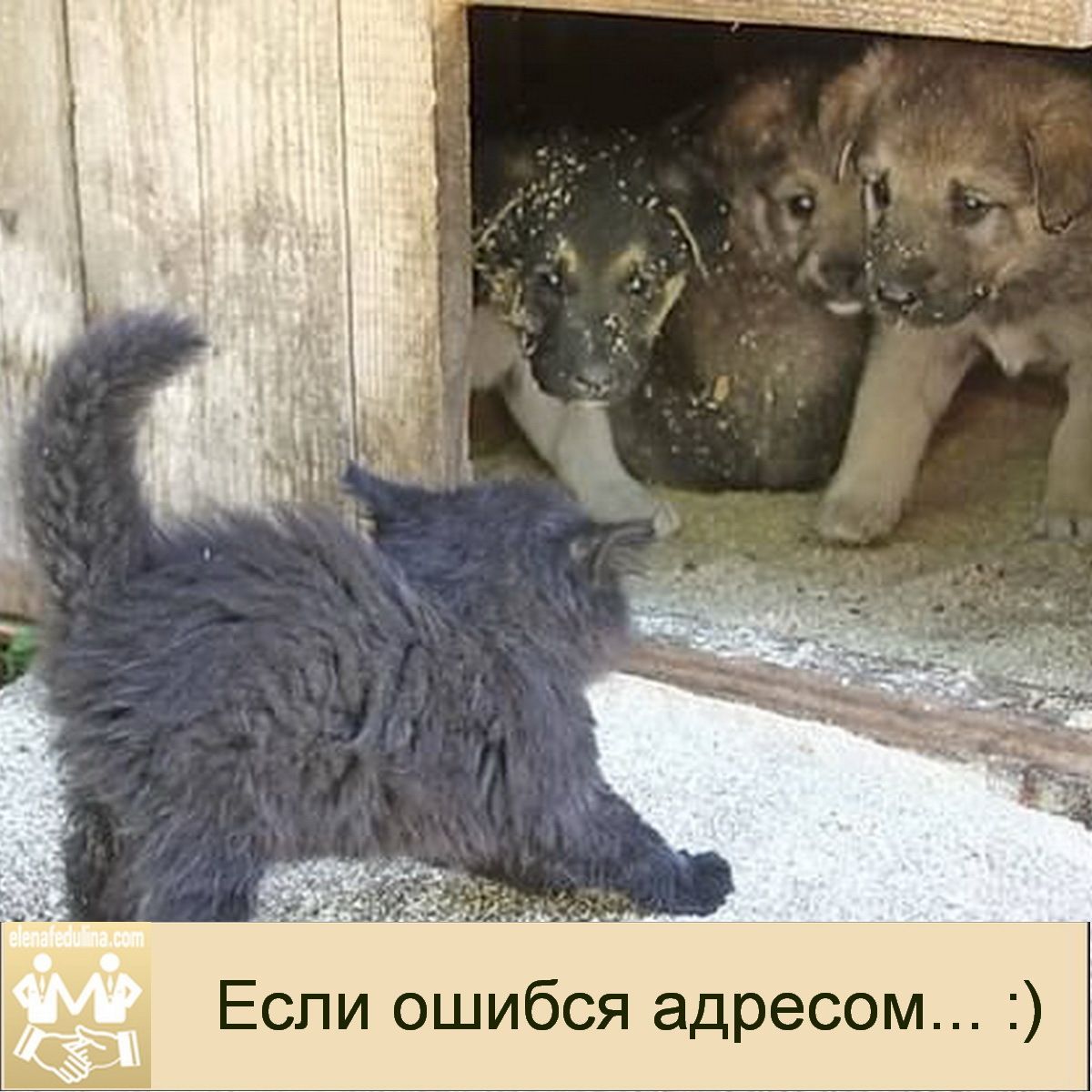 Если ошибся адресом... :)