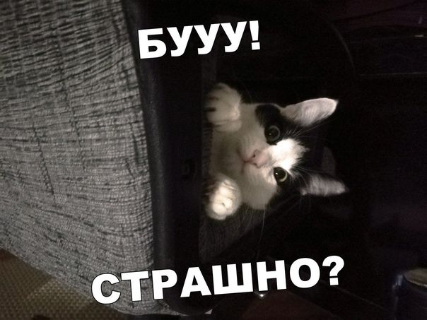 БУУUY! СТРАШНО?