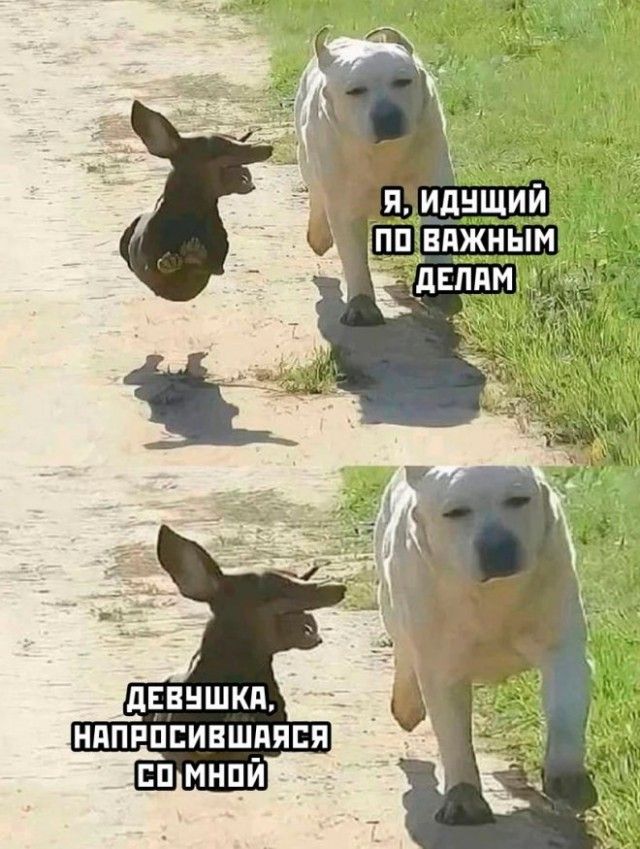 Я, идущий по важным делам. Девушка, нарисовавшаяся со мной.