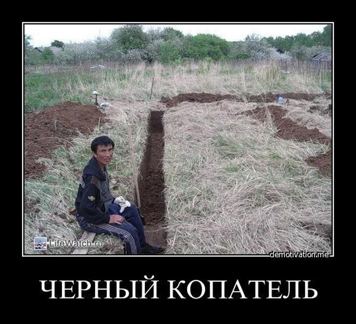 ЧЕРНЫЙ КОПАТЕЛЬ