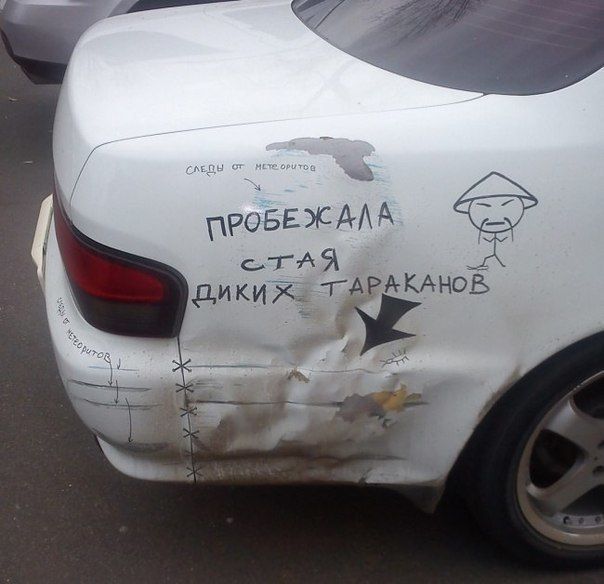 ПРОБЕЖАЛА СТАЯ ДИКИХ ТАРАКАНОВ