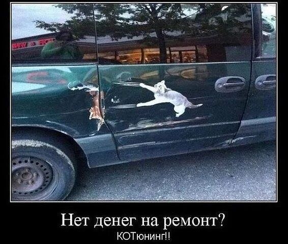 Нет денег на ремонт? КОТюнинг!!