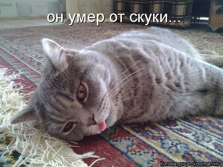 он умер от скуки...
