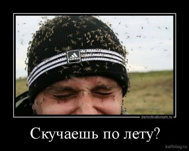 Скучаешь по лету?