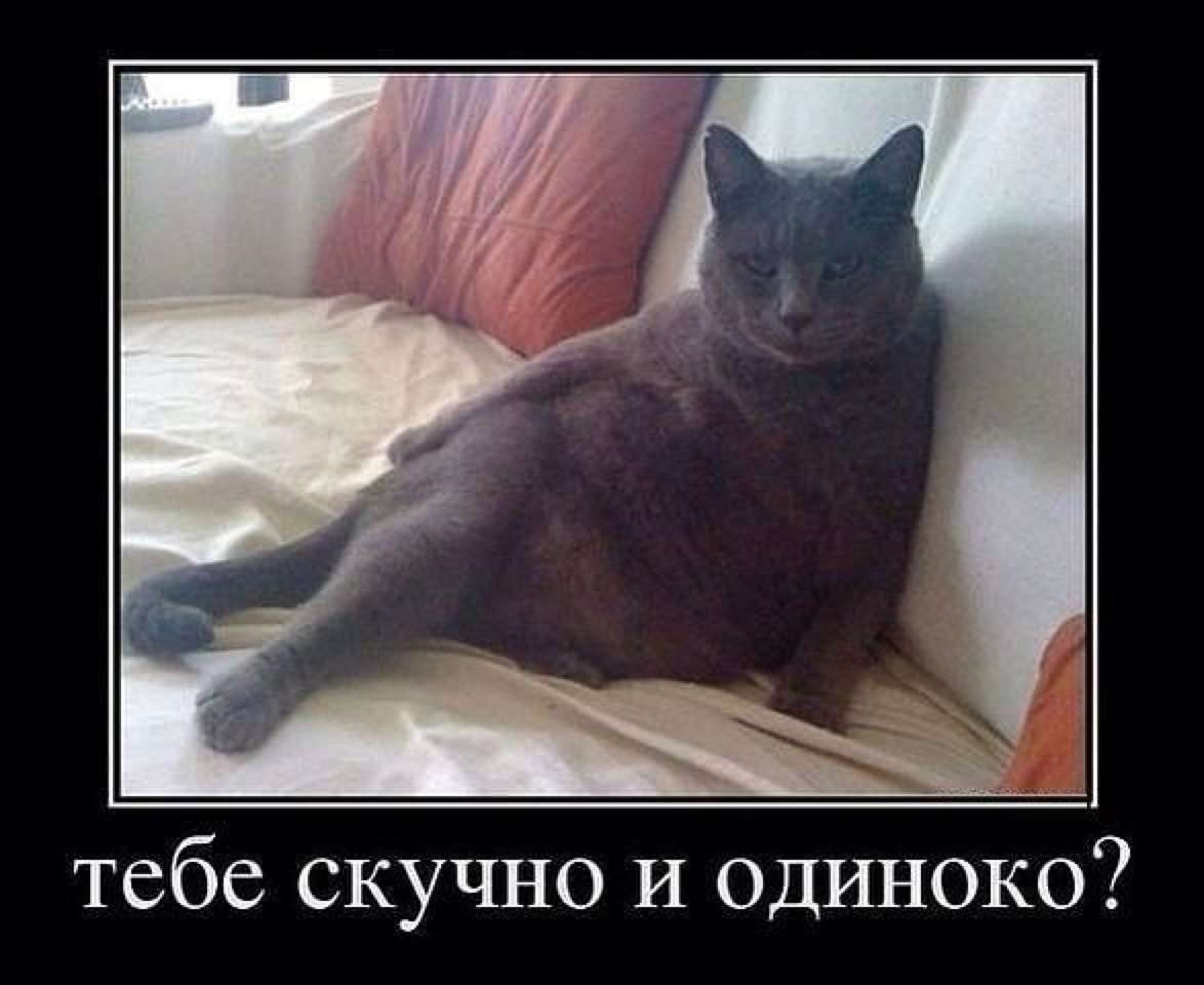 тебе скучно и одиноко?