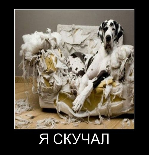 Я СКУЧАЛ