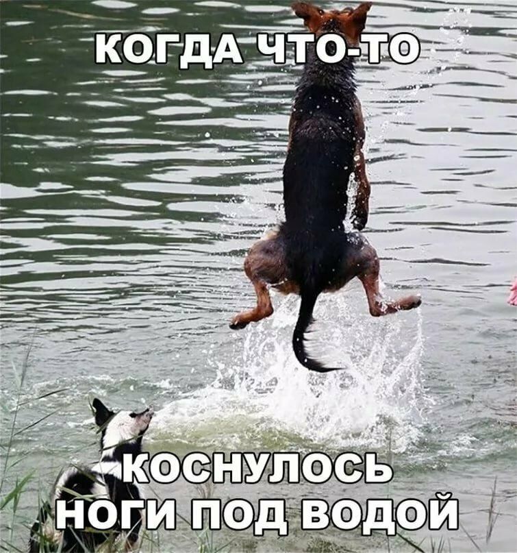 КОГДА ЧТО-TO КОСНУЛОСЬ НОГИ ПОД ВОДОЙ