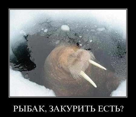 РЫБАК, ЗАКУРИТЬ ЕСТЬ?