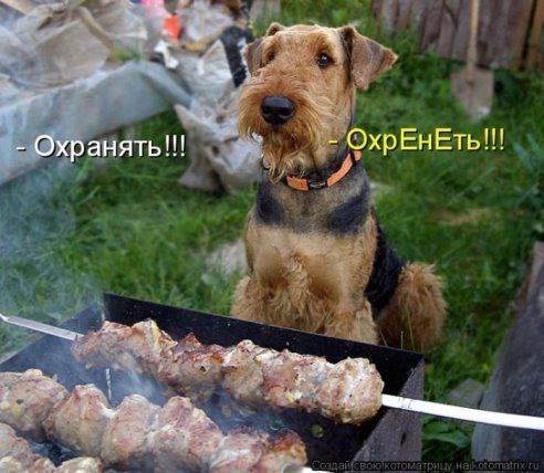 - Охранять!!!
- ОхрЕнЕТ!!!
