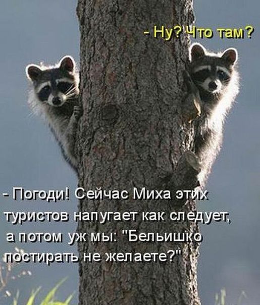 - Ну? Что там?

- Погоди! Сейчас Миха этих туристов напугает как следует, а потом уж мы: 