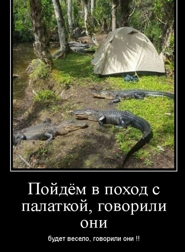 Пойдём в поход с палаткой, говорили они
будет весело, говорили они !!
