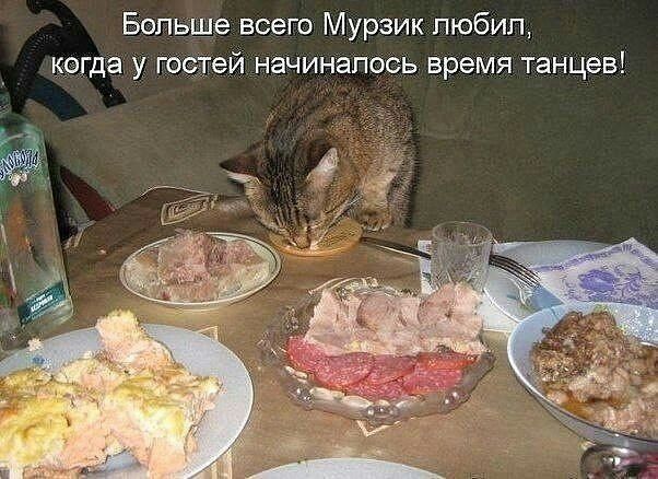 Больше всего Мурзик любил, когда у гостей начиналось время танцев!