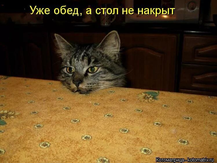 Уже обед, а стол не накрыт