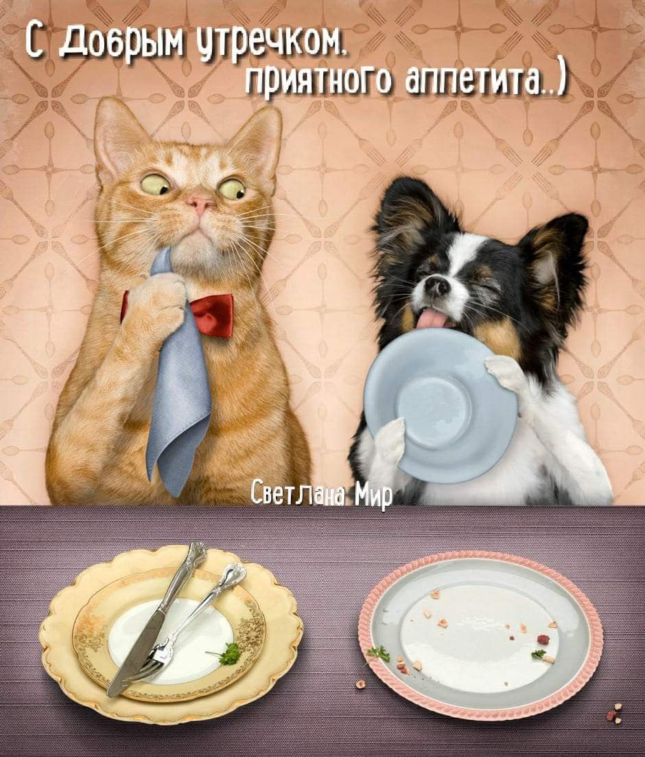 С Добрым утречком. приятного аппетита..)
Светлана.Мир