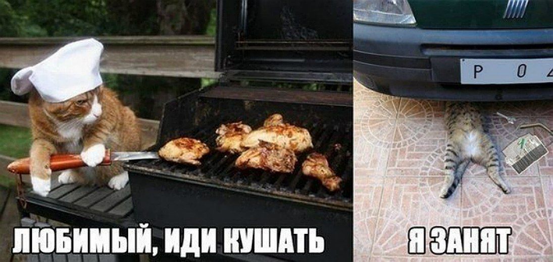 ЛЮБИМЫЙ, ИДИ КУШАТЬ
Я ЗАНЯТ