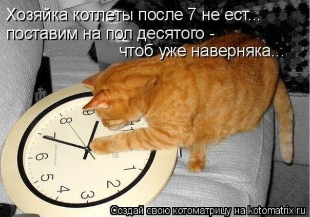 Хозяйка котлеты после 7 не ест... поставим на пол десятого - чтобы уже наверняка..